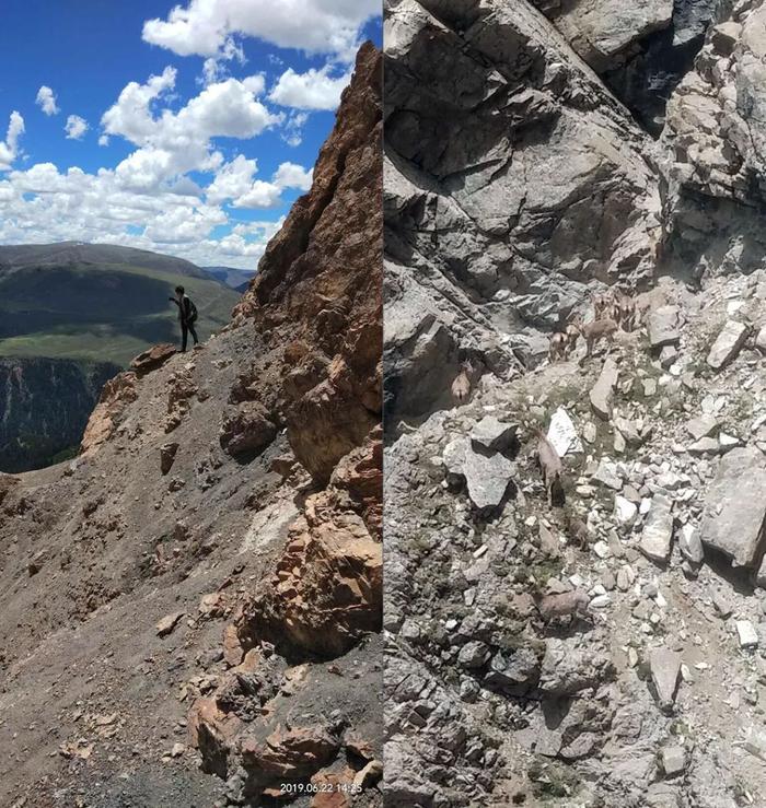 关于北城雪豹队鏖战徽州暴熊队，拳击超级杯失利，核心复出即建功。定位球制造杀机的信息九游娱乐